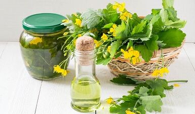 Folk drugs for papillomes