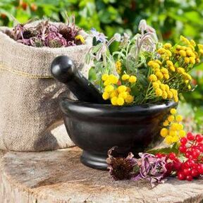 plants for the treatment of papillomas